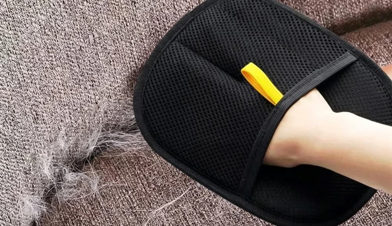 Le gant sur un canapé