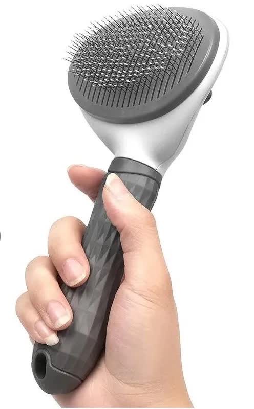 La brosse grise et blanche tenue en main